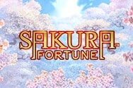 Sakura Fortune